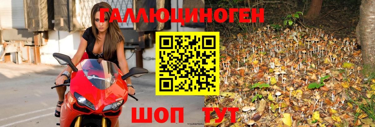 Галлюциногенные грибы Magic Shrooms  Галлюциногенные грибы прущие грибы  Вход с VPN  Махачкала 